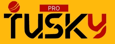 Add Logo